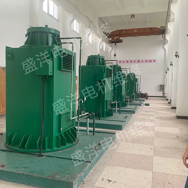 淮南专业维修电机